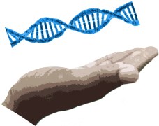 Genetic Material, Gene Manipulation