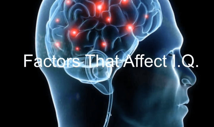 intelligence quotient,