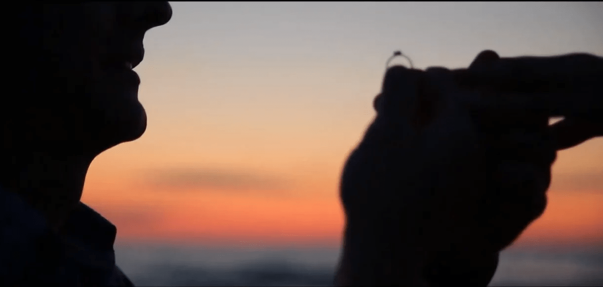 Kevin Macleod, Music Video