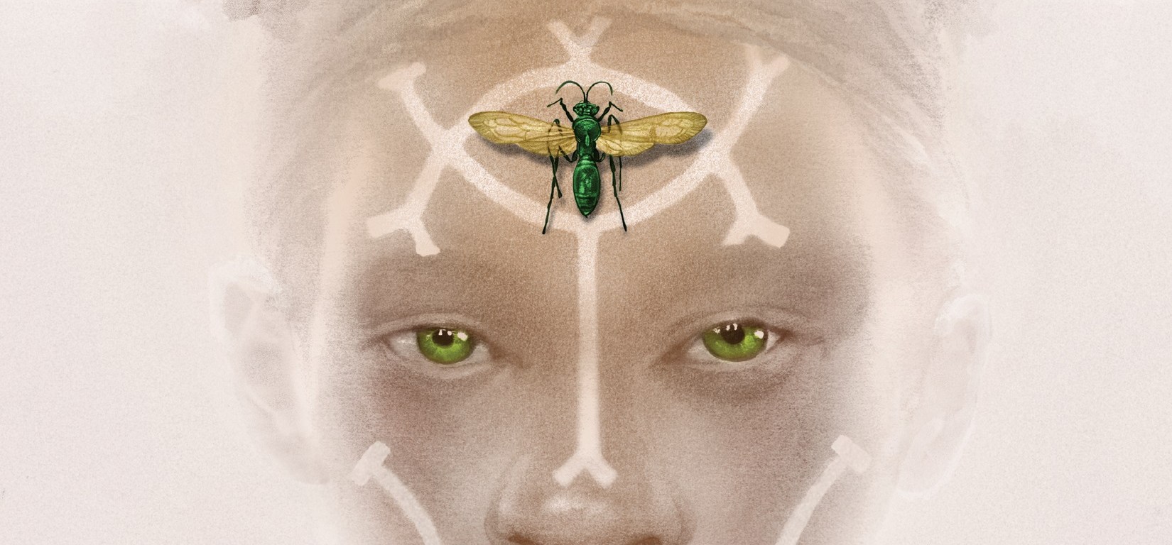 Nsibidi, young adult, fantasy