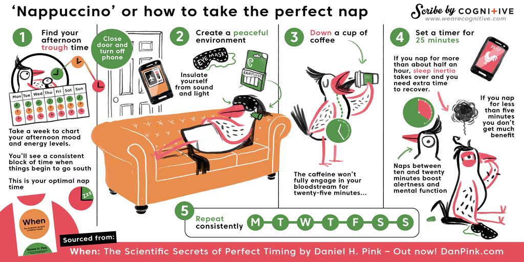 Infographic, danpink.com, nappucino, how to take the perfect nap, The scientific secrets of perfect timing