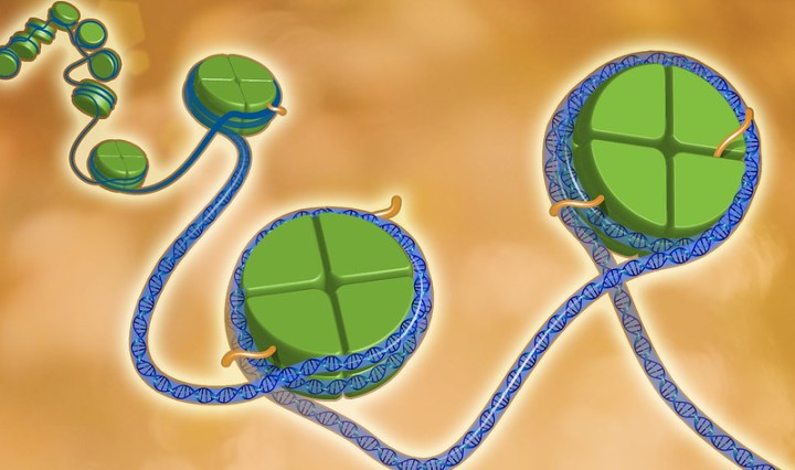 National Human Genome Research Institute, DNA, NHGRI, Histones